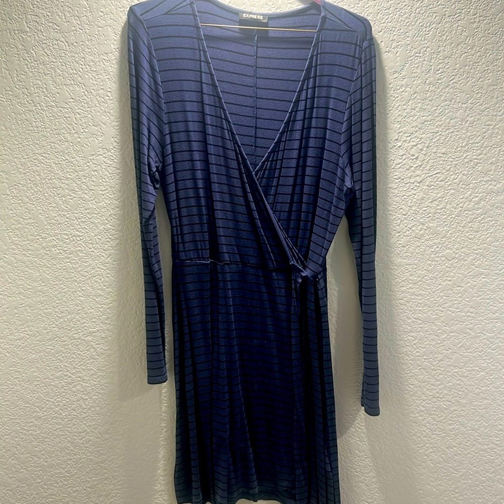 Express Navy  Dress
